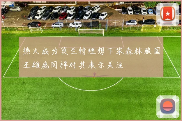 热火成为莫兰特理想下家森林狼国王雄鹿同样对其表示关注